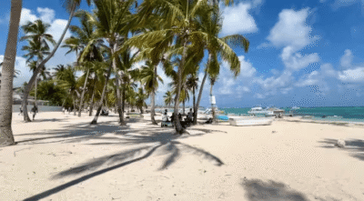 Punta Cana 11 piscinas y transporte a la playa oasis 203